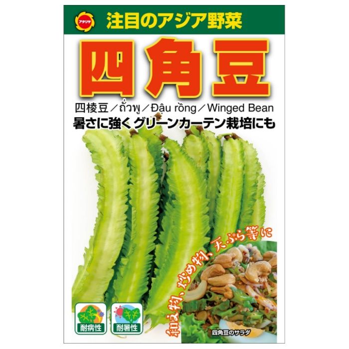 アタリヤ農園 アジア野菜 四角豆