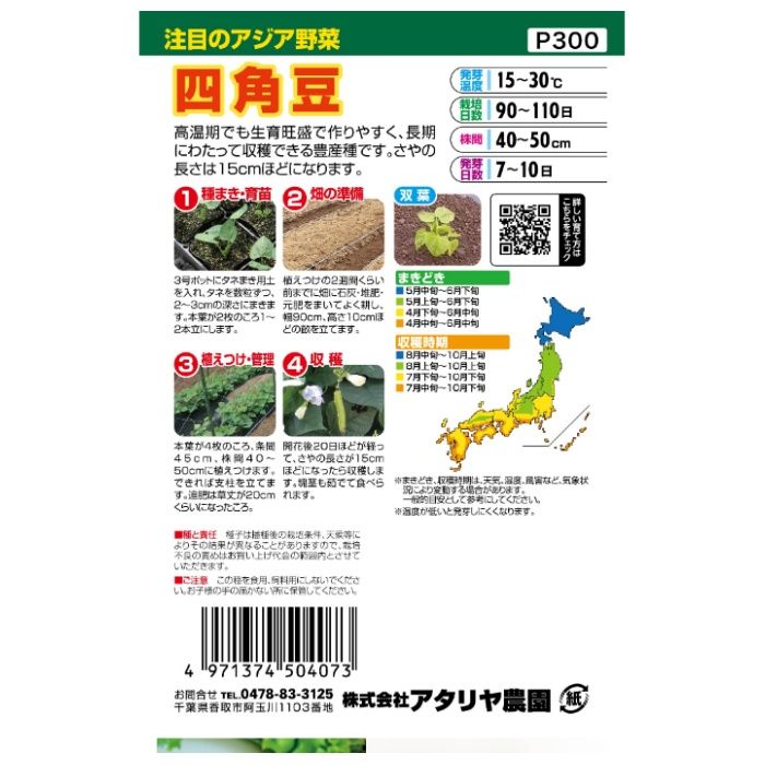 アタリヤ農園 アジア野菜 四角豆の説明画像2