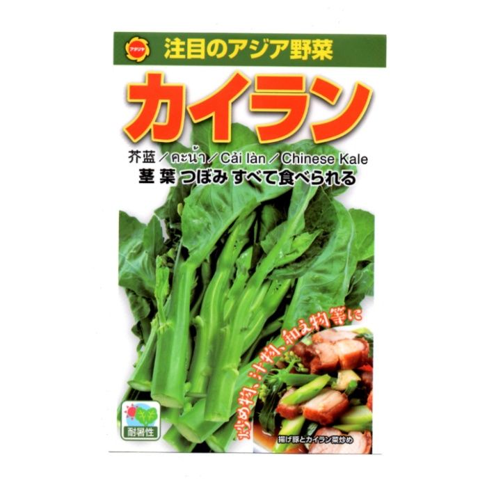アタリヤ農園 アジア野菜 カイラン