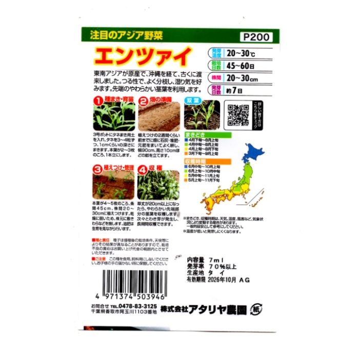 アタリヤ農園 アジア野菜 エンツァイの説明画像2