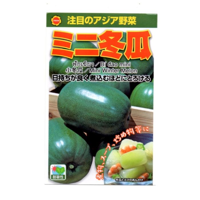 アタリヤ農園 アジア野菜 ミニ冬瓜