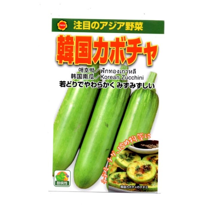 アタリヤ農園 アジア野菜 韓国カボチャ