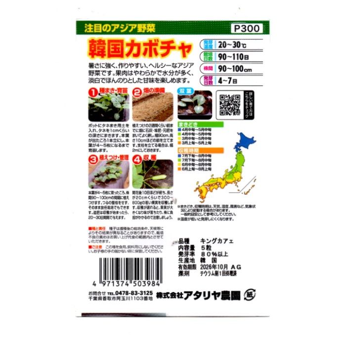 アタリヤ農園 アジア野菜 韓国カボチャの説明画像2