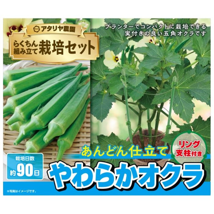 アタリヤ農園 栽培セット やわらかオクラの説明画像2