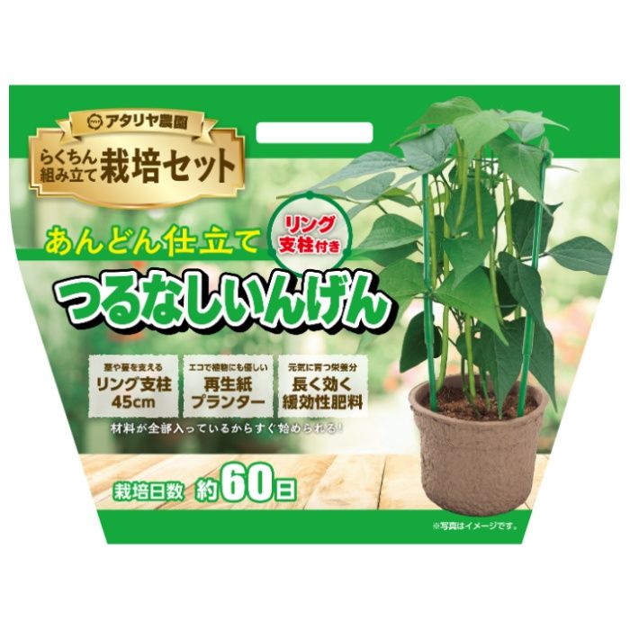 アタリヤ農園 栽培セット つるなしいんげん