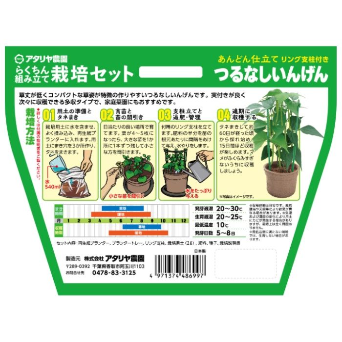 アタリヤ農園 栽培セット つるなしいんげんの説明画像3