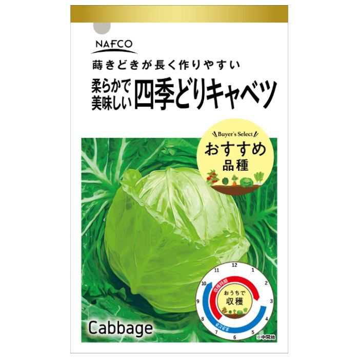 アタリヤ農園 おうちで収穫　野菜の種 四季取りキャベツ