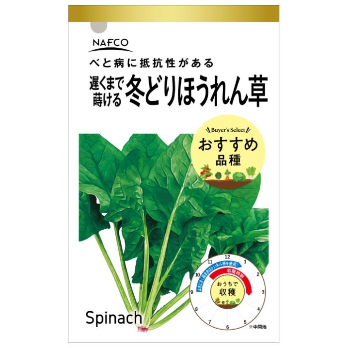 アタリヤ農園 おうちで収穫　野菜の種 冬どりほうれん草