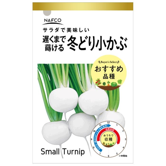 アタリヤ農園 おうちで収穫　野菜の種 冬どり小かぶ