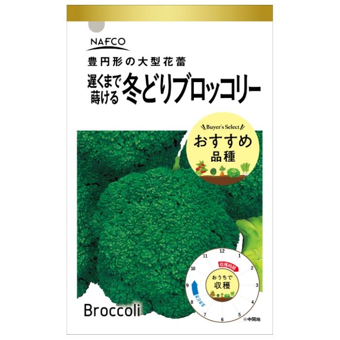 アタリヤ農園 おうちで収穫　野菜の種 冬どりブロッコリー