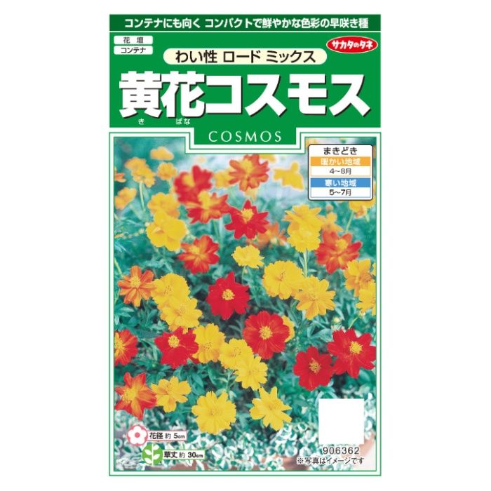 サカタのタネ 黄花コスモス わい性ロードミックス