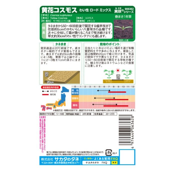 サカタのタネ 黄花コスモス わい性ロードミックスの説明画像2