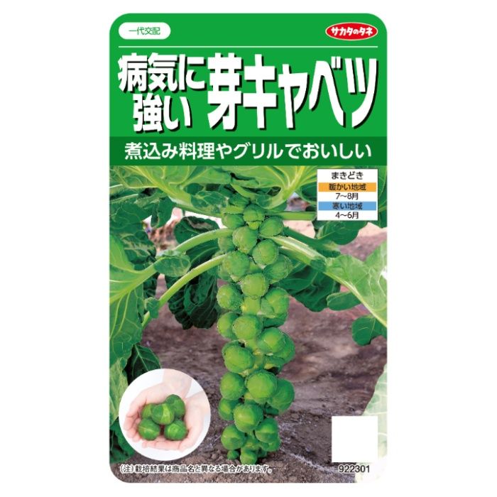 サカタのタネ 芽キャベツ 病気に強い芽キャベツ