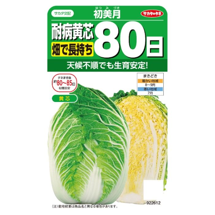 サカタのタネ 耐病黄芯80日白菜 初美月