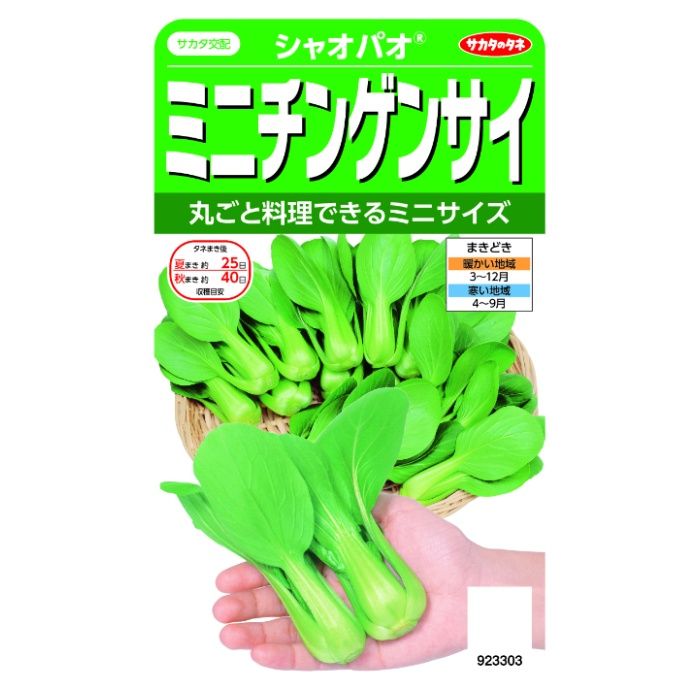 サカタのタネ ミニチンゲンサイ シャオパオ
