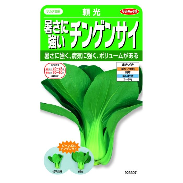 サカタのタネ 暑さに強いチンゲンサイ 頼光