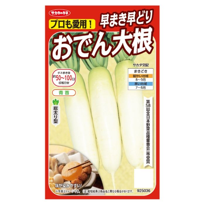 サカタのタネ ダイコン 早まき早どりおでん大根