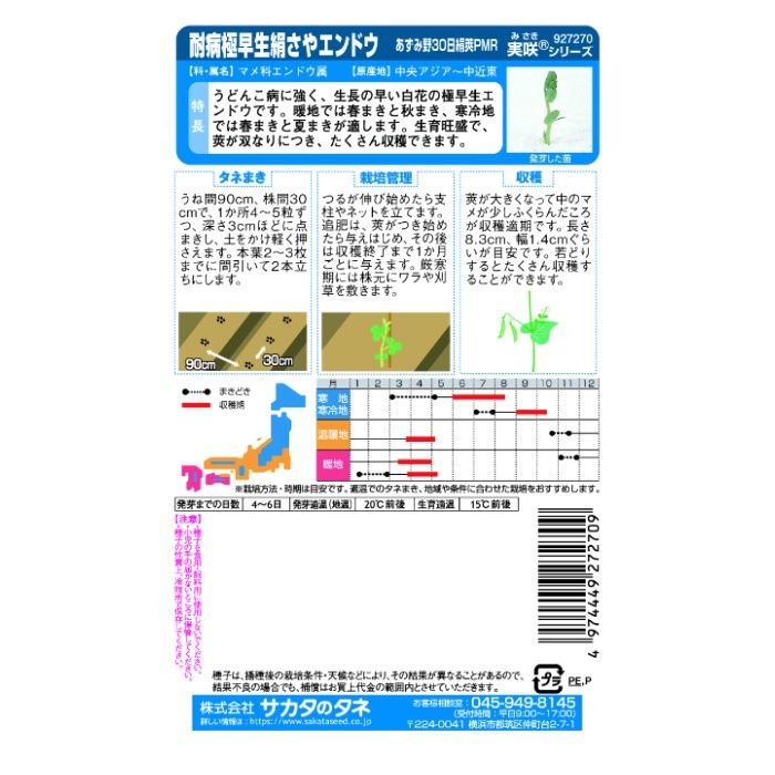 サカタのタネ つるあり絹さやエンドウ 耐病極早生　あずみ野30日の説明画像2