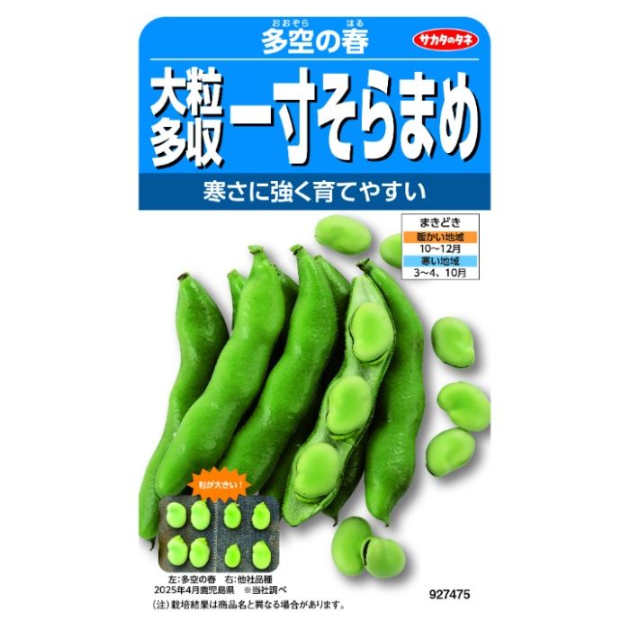 サカタのタネ ソラマメ たくさんとれる一寸そらまめ
