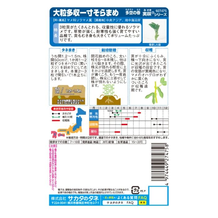 サカタのタネ ソラマメ たくさんとれる一寸そらまめの説明画像2