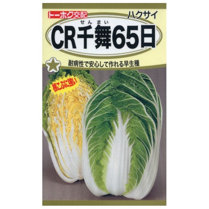 ハクサイ CR千舞65日