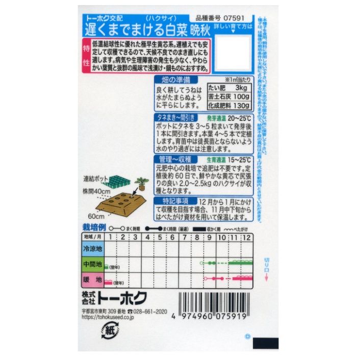 ハクサイ 遅くまでまける白菜　晩秋の説明画像2