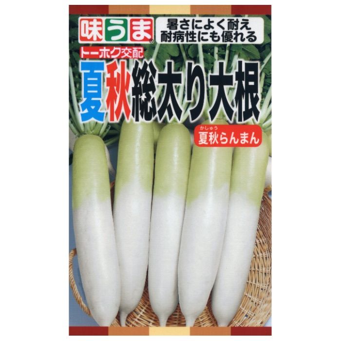 ダイコン 夏秋総太り大根　夏秋らんまん