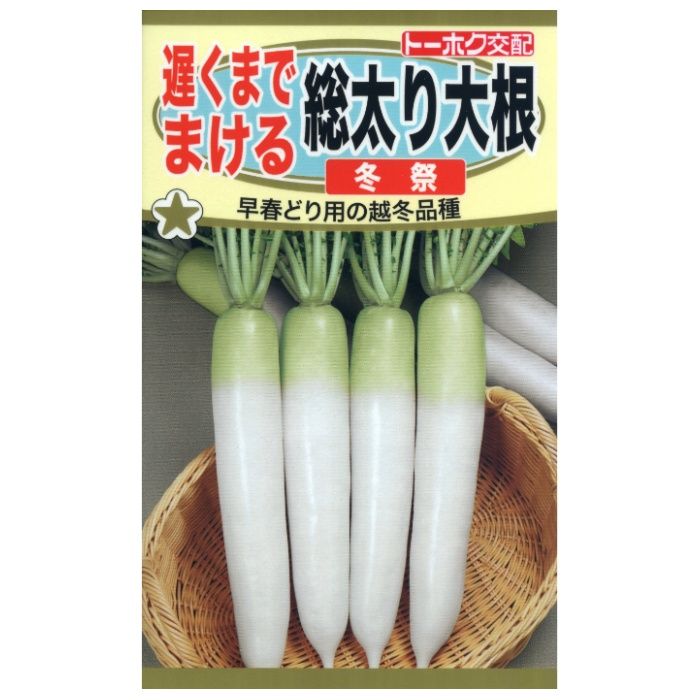 ダイコン 遅くまでまける総太り大根　冬祭