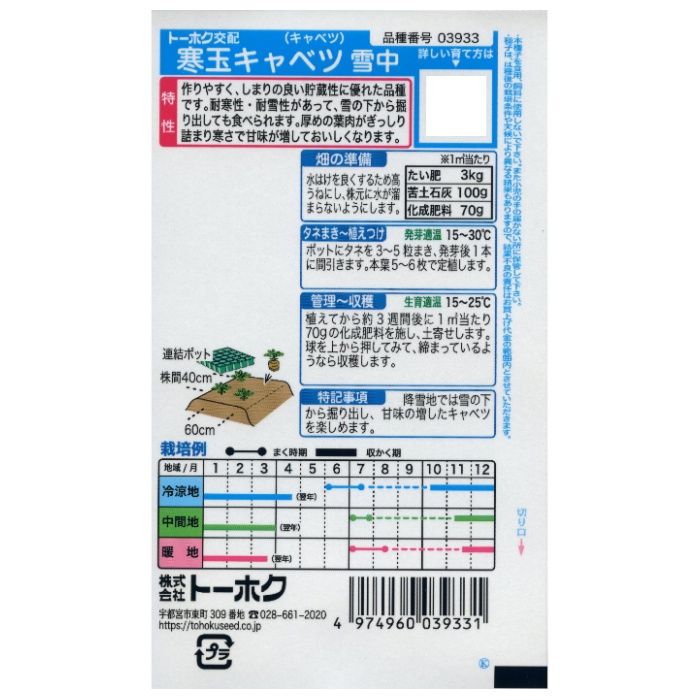 キャベツ 寒玉キャベツ　雪中の説明画像2