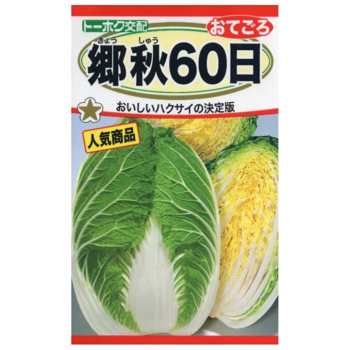 ハクサイ 郷秋60日　おてごろ