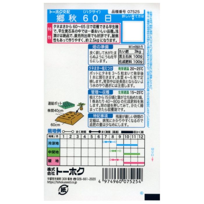 ハクサイ 郷秋60日　おてごろの説明画像2