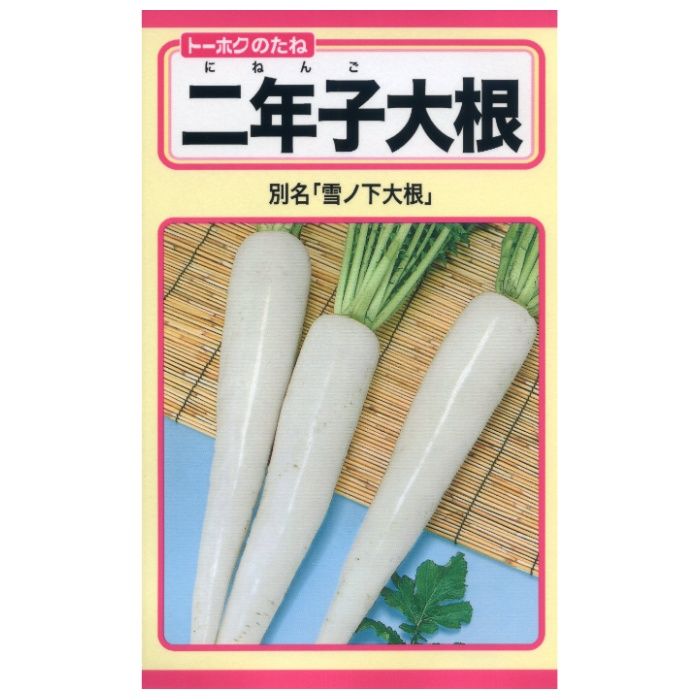 ダイコン 二年子大根