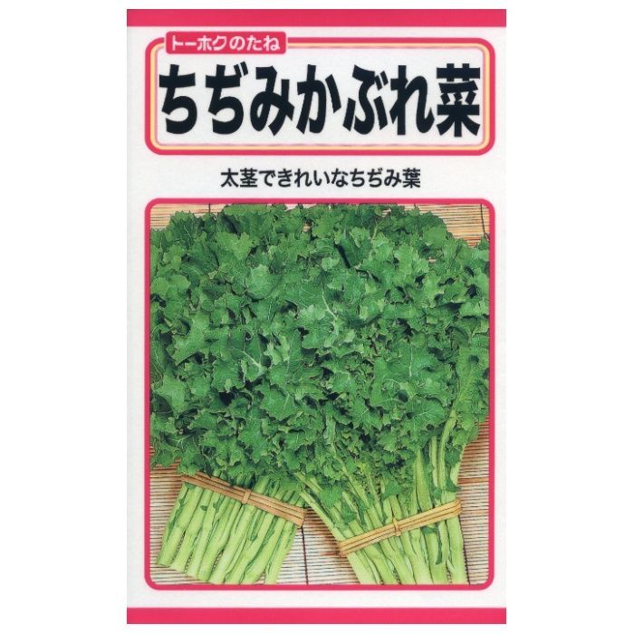 ヨウサイ ちぢみかぶれ菜