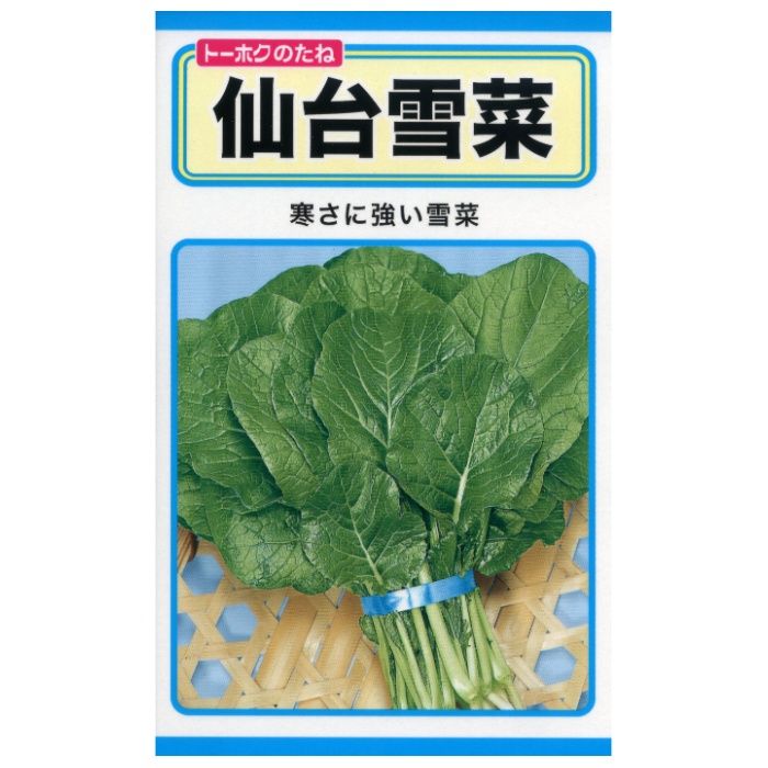 ヨウサイ 仙台雪菜