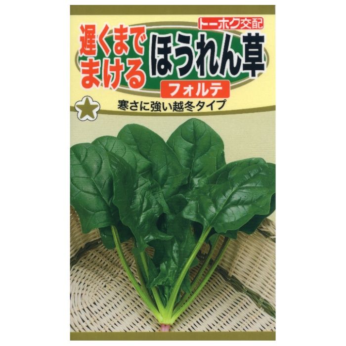 ホウレンソウ 遅くまでまけるほうれん草　フォルテ
