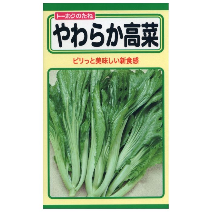 タカナ やわらか高菜