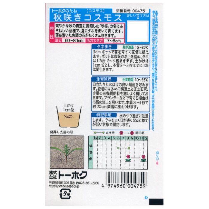 コスモス 秋咲きコスモスの説明画像2