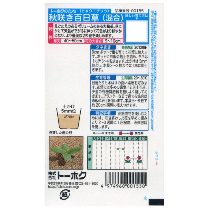 ジニア 秋咲き百日草　混合の説明画像2