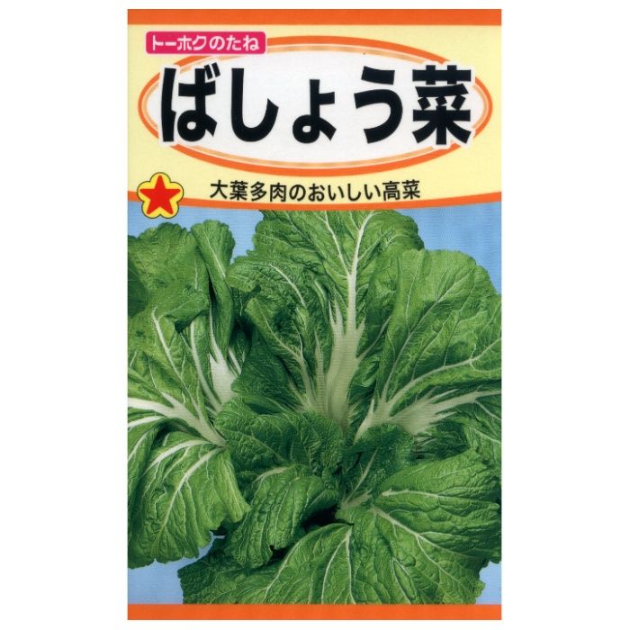 ヨウサイ ばしょう菜