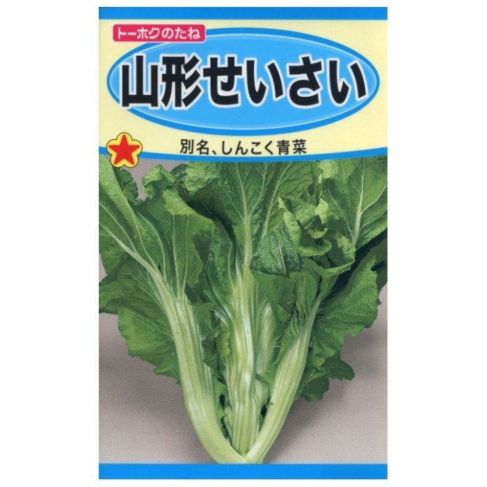 ヨウサイ 山形せいさい