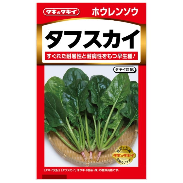 タキイ種苗 ホウレンソウ タフスカイ