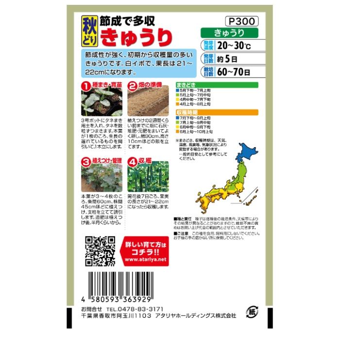 アタリヤ農園 キュウリ 秋どり　きゅうりの説明画像2