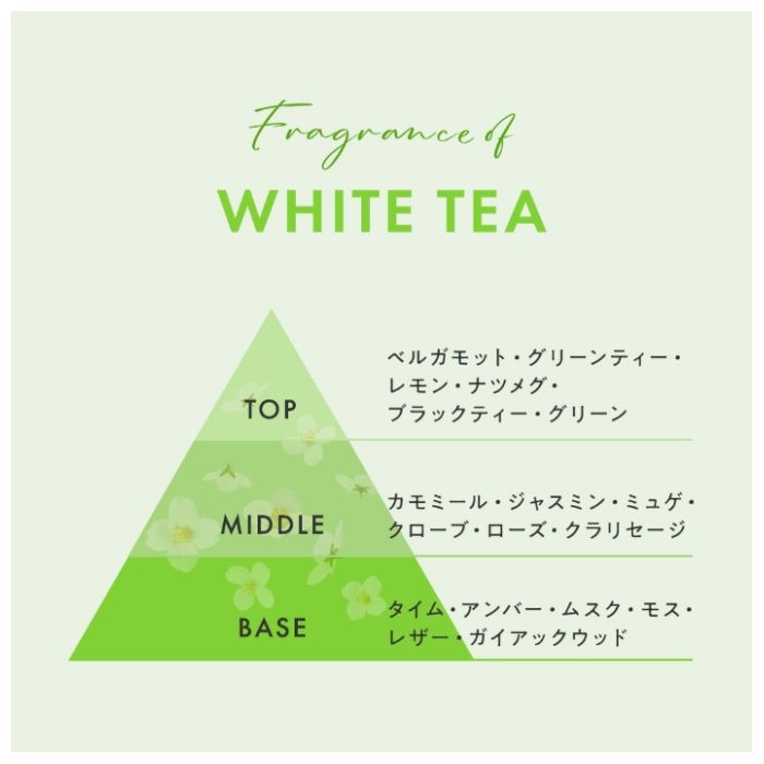 レイヴィーボディーシャンプー ホワイトティー　本体1150mlの説明画像3