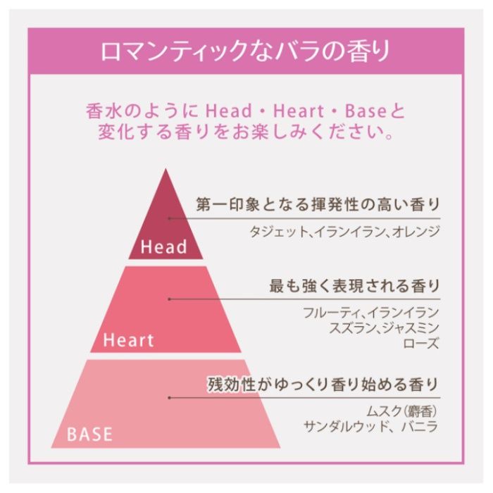 レイヴィーボディーシャンプー ローズヒップ　本体1150mlの説明画像4
