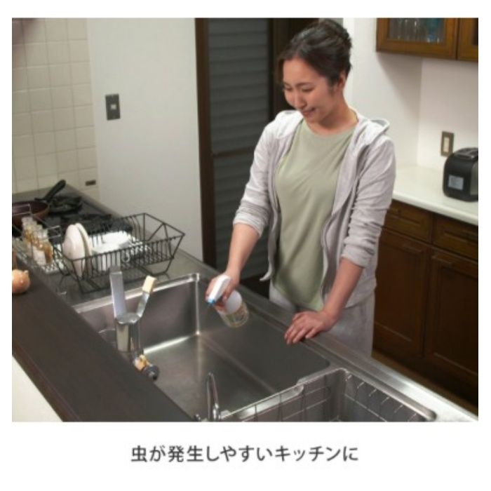 ディーニーズ 害虫忌避スプレー ヒバノンノン 2本セットの説明画像5