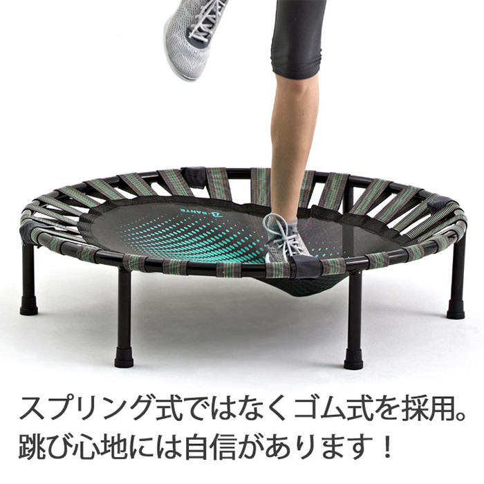 La-VIE ダイエットステップ 3B-5100の説明画像6