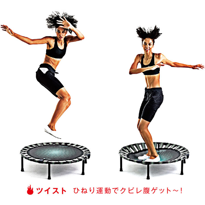 La-VIE ダイエットステップ 3B-5100の説明画像7