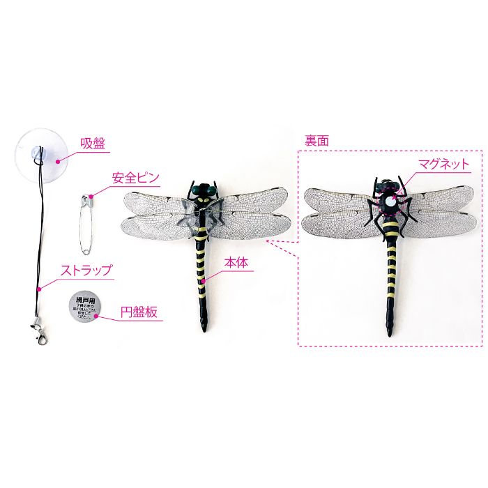 高芝ギムネ製作所 イヤーな虫の天敵　M-56 網戸・窓ガラス用の説明画像3