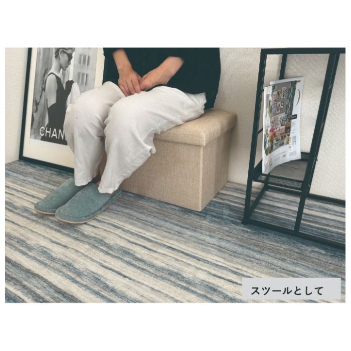 収納スツール ベージュ ダブル BEの説明画像3