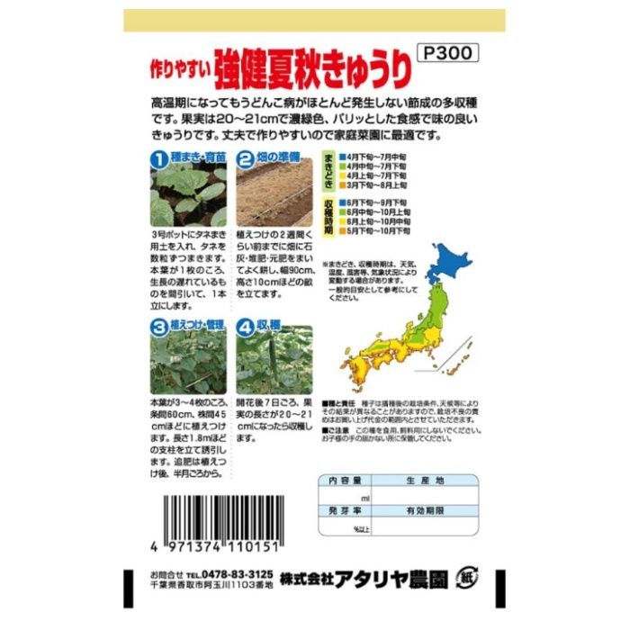 アタリヤ胡瓜 夏秋きゅうりの説明画像2